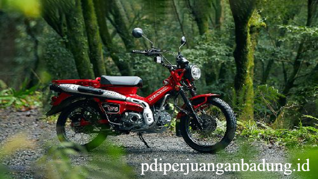 Honda CT125 Trail Hunter: Motor Petualang Modern